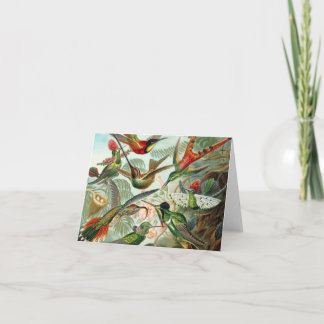 Hummingbird Note Card