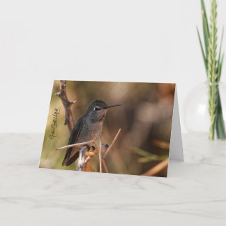 Hummingbird Note Card