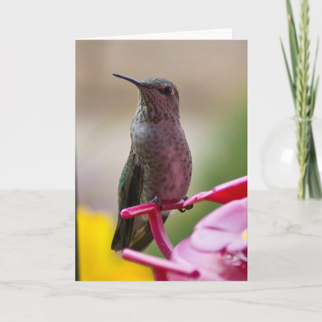 Hummingbird Note Card (Front)