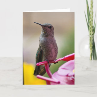 Hummingbird Note Card