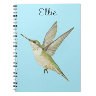 Hummingbird Notebook