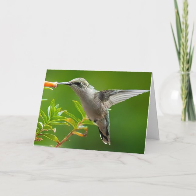 Hummingbird Notecard (Front)