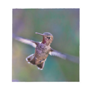 Hummingbird Notepad