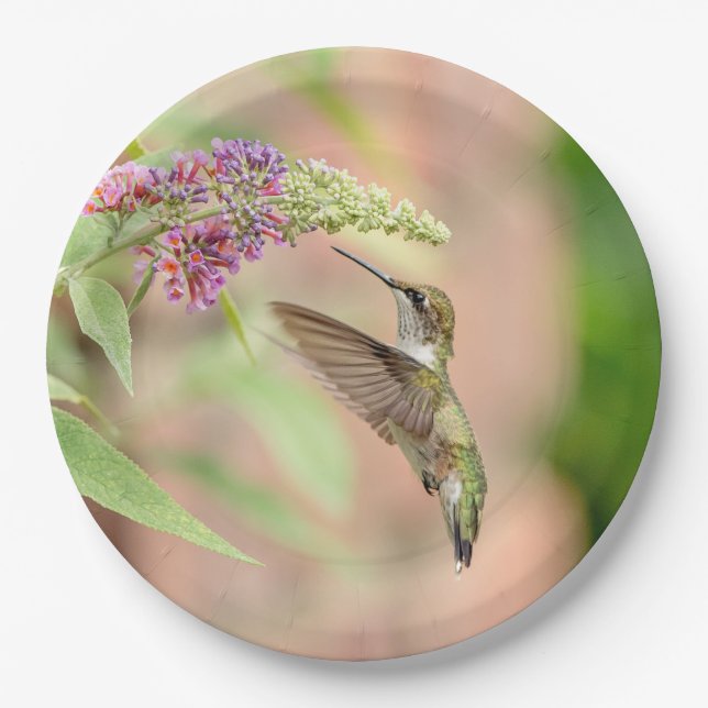 Hummingbird on a flowering plant paper plate (Front)