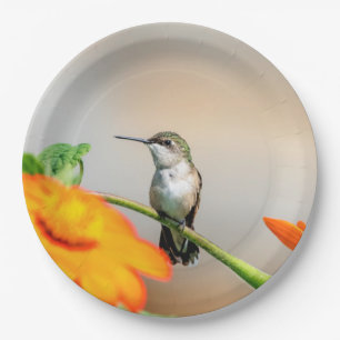 Hummingbird on a flowering plant paper plate