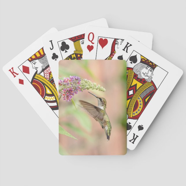 Hummingbird on a flowering plant playing cards (Back)
