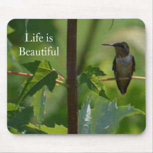 Hummingbird on Branch (photo by me) Mouse Mat