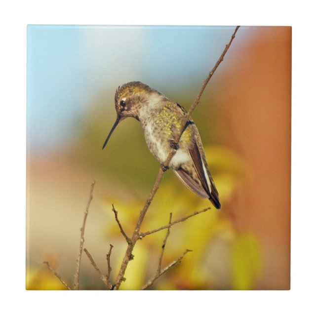 Hummingbird on branch tile (Front)