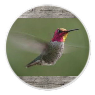 Hummingbird on Ceramic Knobs and Pulls