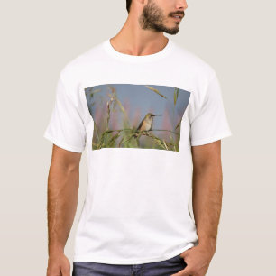 hummingbird on grass T-Shirt