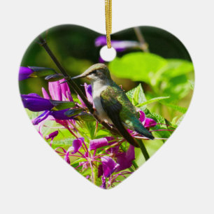 Hummingbird on Hummingbird Mint Ceramic Tree Decoration