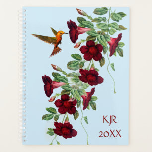 Hummingbird on Mandevillea Flowers Planner