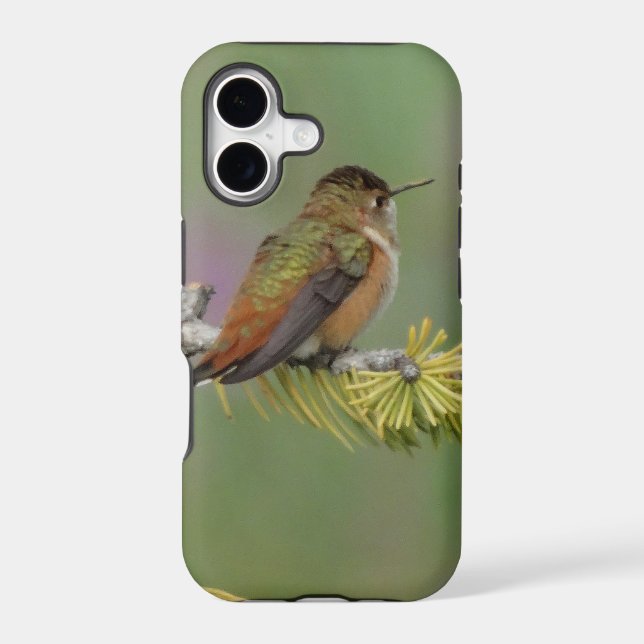 Hummingbird on pine (Back)