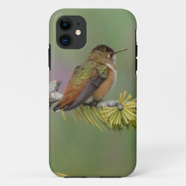Hummingbird on pine Case-Mate iPhone case (Back)