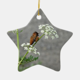 Hummingbird on Queen Ann's lace flower Ceramic Tree Decoration