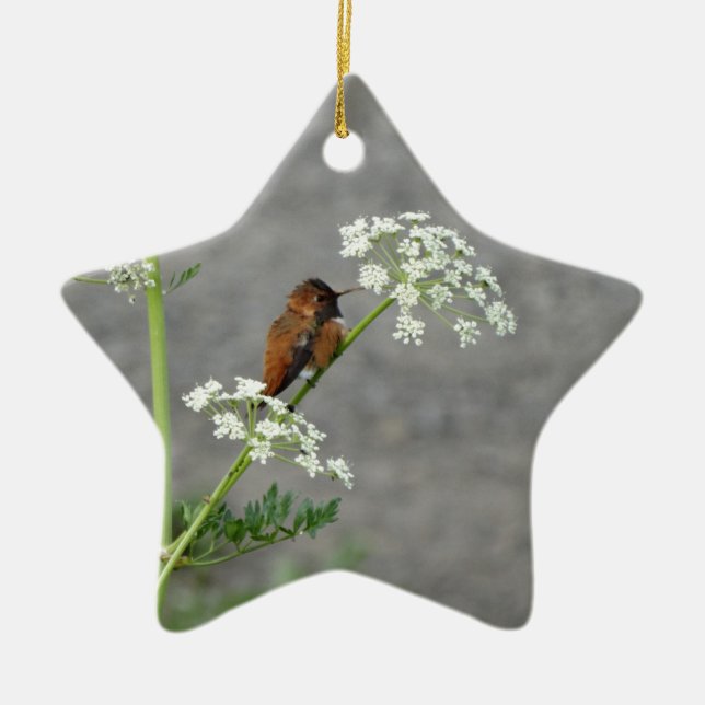 Hummingbird on Queen Ann's lace flower Ceramic Tree Decoration (Front)