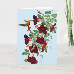 Hummingbird on Red Mandevillea Mother's Day Holiday Card