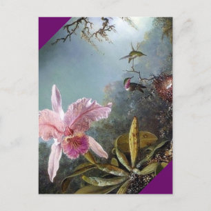 Hummingbird orchid flower tropical forest painting postcard