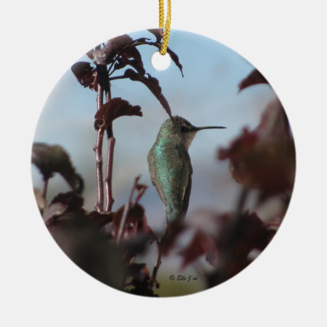 Hummingbird Ornament (Front)