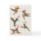 Hummingbird party card