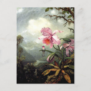 Hummingbird Perched, fine art, Postcard