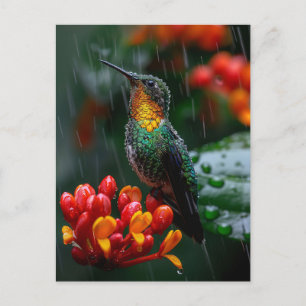 Hummingbird Perched on Bright Flower Postcard