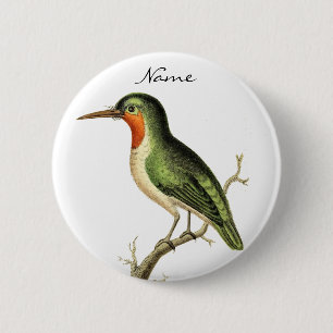 Hummingbird Perched Thunder_Cove 6 Cm Round Badge