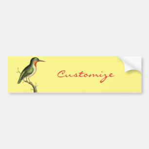 Hummingbird Perched Thunder_Cove Bumper Sticker