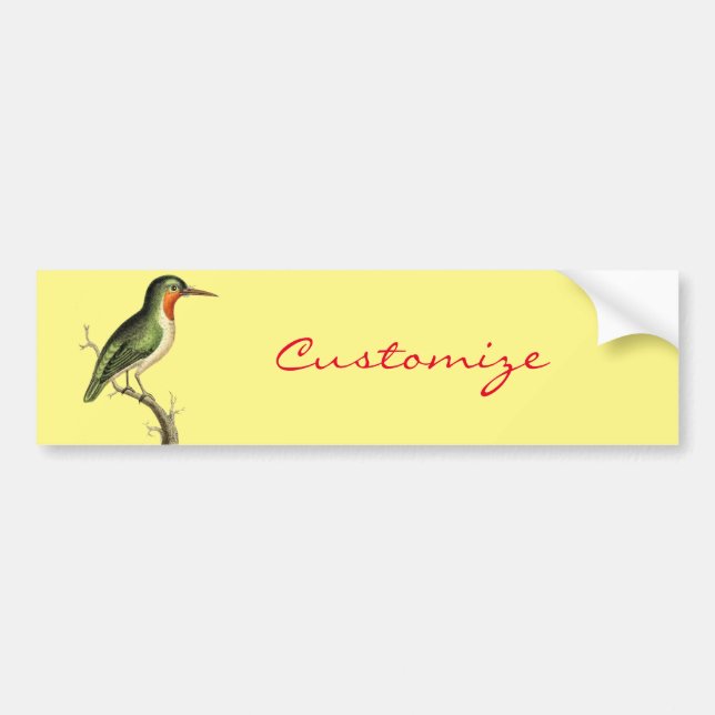 Hummingbird Perched Thunder_Cove Bumper Sticker (Front)
