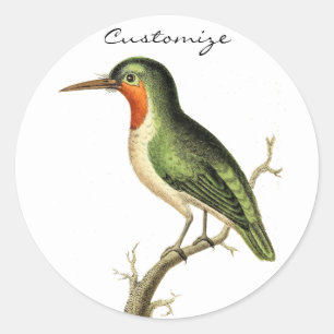 Hummingbird Perched Thunder_Cove Classic Round Sticker