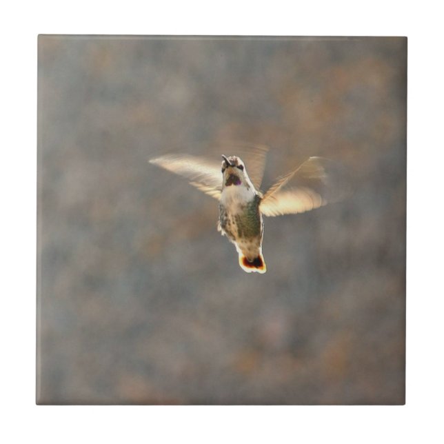 Hummingbird photo tile! tile (Front)