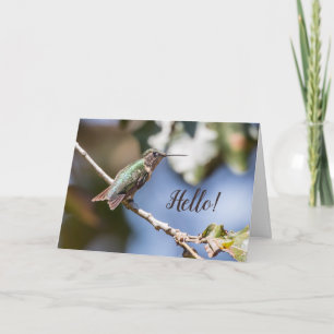 Hummingbird Photography Friendship  Card