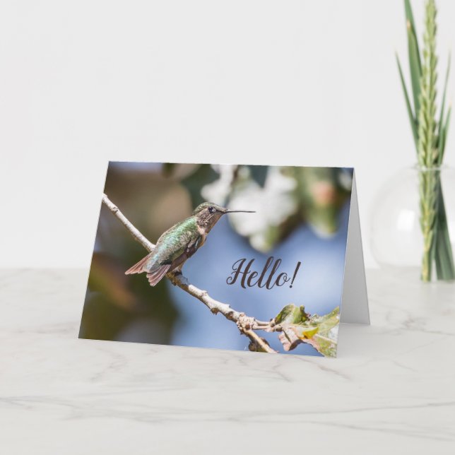 Hummingbird Photography Friendship  Card (Front)
