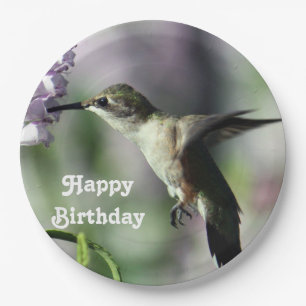 Hummingbird Pink Floral Wildlife Photo Birthday Paper Plate