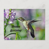 Hummingbird Pink Floral Wildlife Photo Birthday