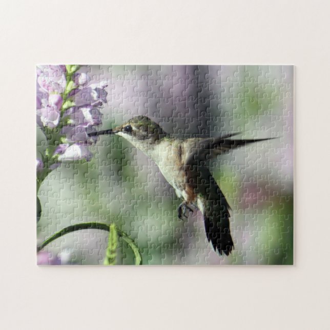 Hummingbird Pink Floral Wildlife Photo Jigsaw Puzzle (Horizontal)