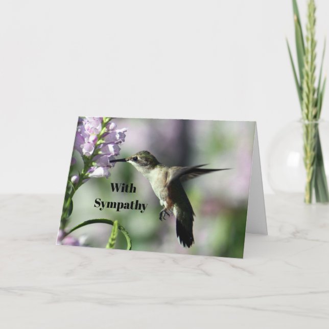 Hummingbird Pink Floral Wildlife Photo Sympathy Card (Front)