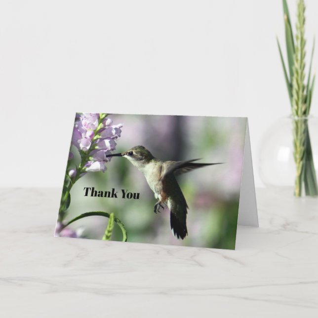 Hummingbird Pink Floral Wildlife Photo Thank You Card (Front)