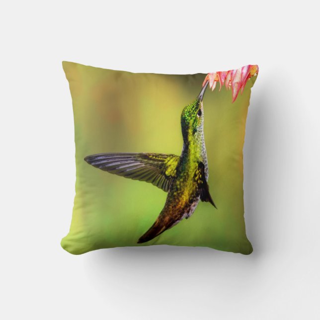Hummingbird Pink Flower Bird Cushion (Front)