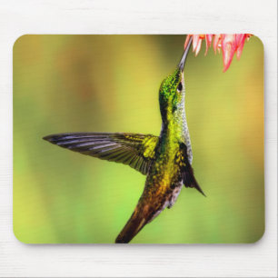 Hummingbird Pink Flower Bird Mouse Mat