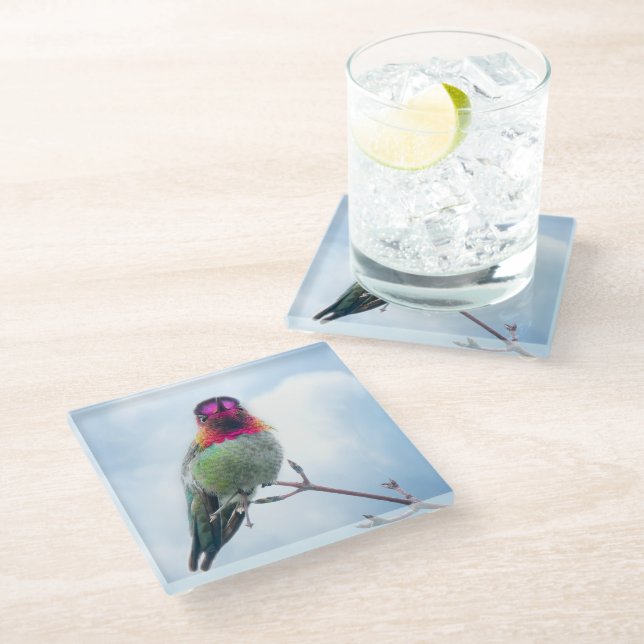Hummingbird  - Pink Throated Anna's Hummingbird Glass Coaster (Angled)