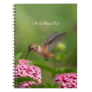 Hummingbird Pink Zinnia Flowers (my photography) Notebook