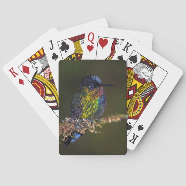 Hummingbird Playing Cards (Back)