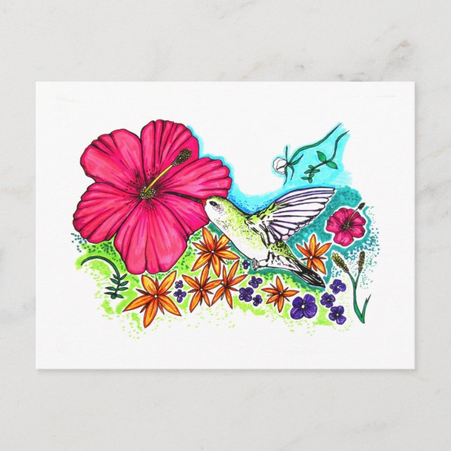 Hummingbird Postcard (Front)