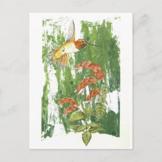 Hummingbird Postcard
