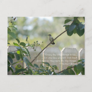 Hummingbird Postcard with "Little Things" Quote