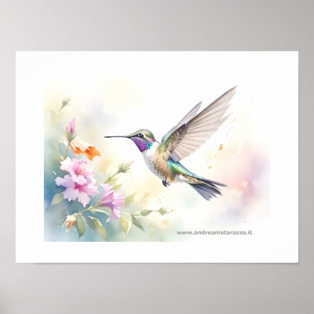 Hummingbird Poster (Front)