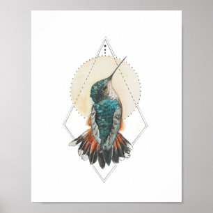 Hummingbird Poster