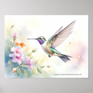 Hummingbird Poster
