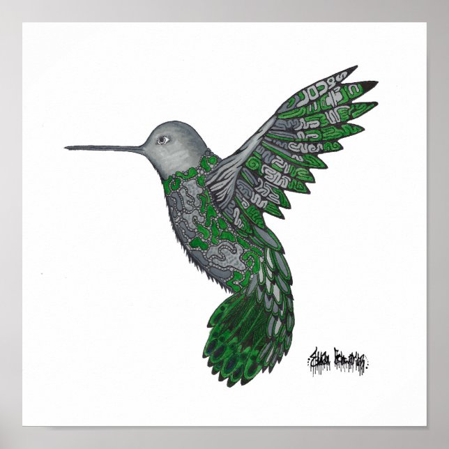 Hummingbird Poster (Front)
